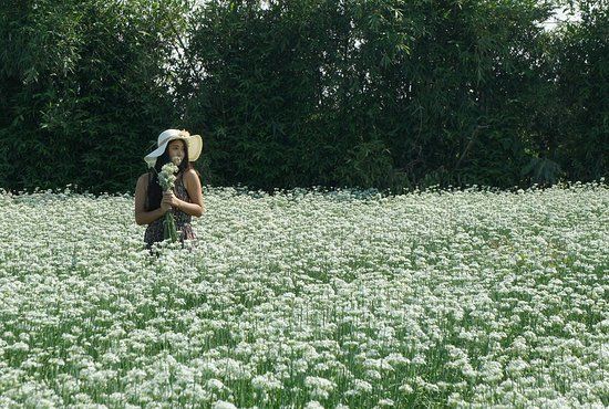 Zhong Xin Li Jiu Cai Hua Tian